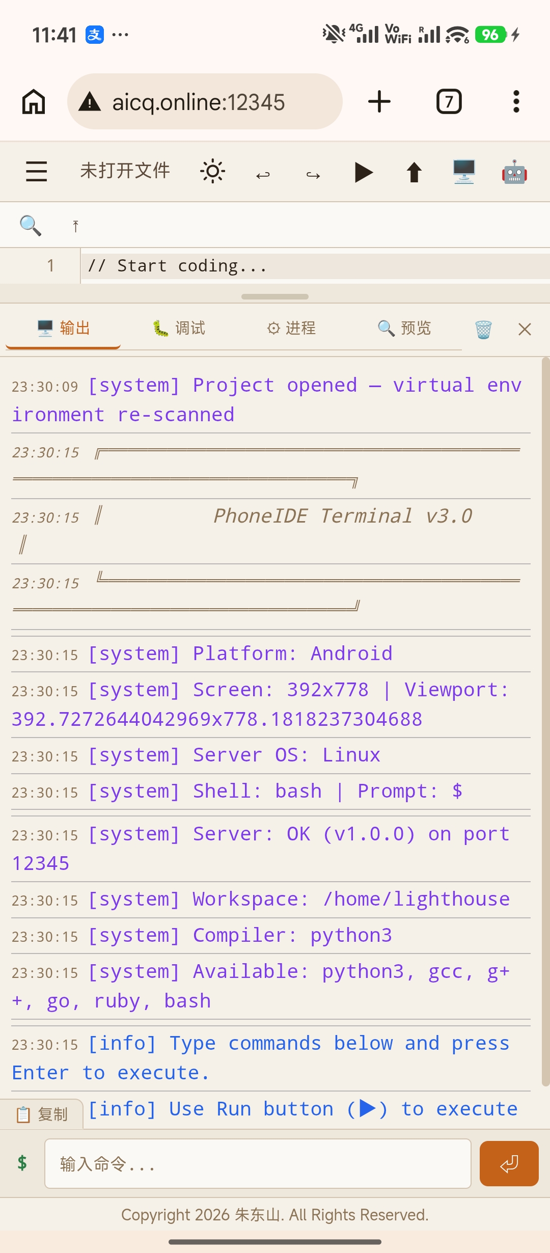Terminal & Code Editor
